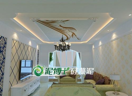 泥博士硅藻泥 给你健康好环境